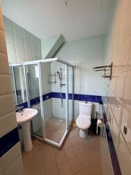 Serangoon Garden Estate (D19), Semi-Detached #574100141